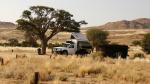 Desert Horse Campsite Campsite