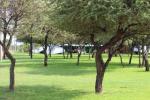 Almega Caravan Park Campsite