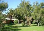 Imhoff Caravan Park Campsite
