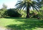 Imhoff Caravan Park Campsite